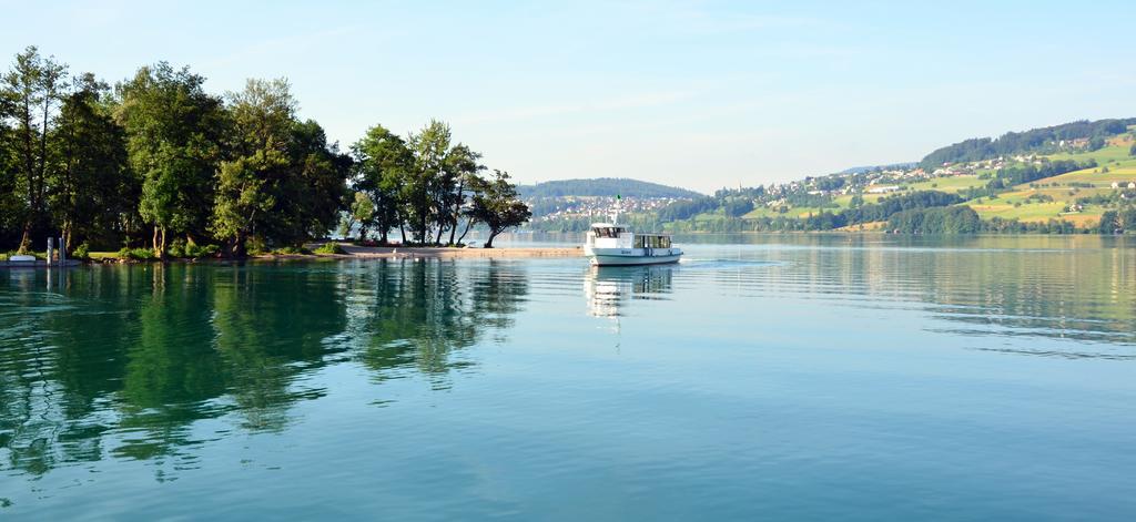 Seehotel Delphin Meisterschwanden Exterior foto